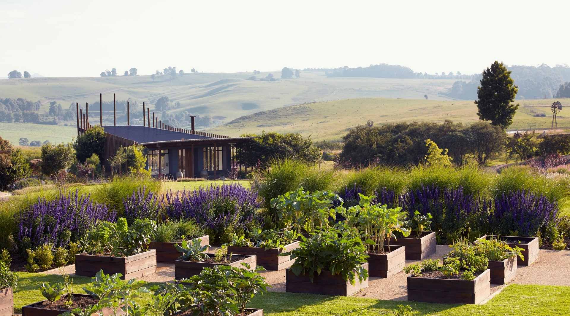 Countryside retreat with modern glass pavilion, raised vegetable beds and purple lavender borders, rolling hill views.