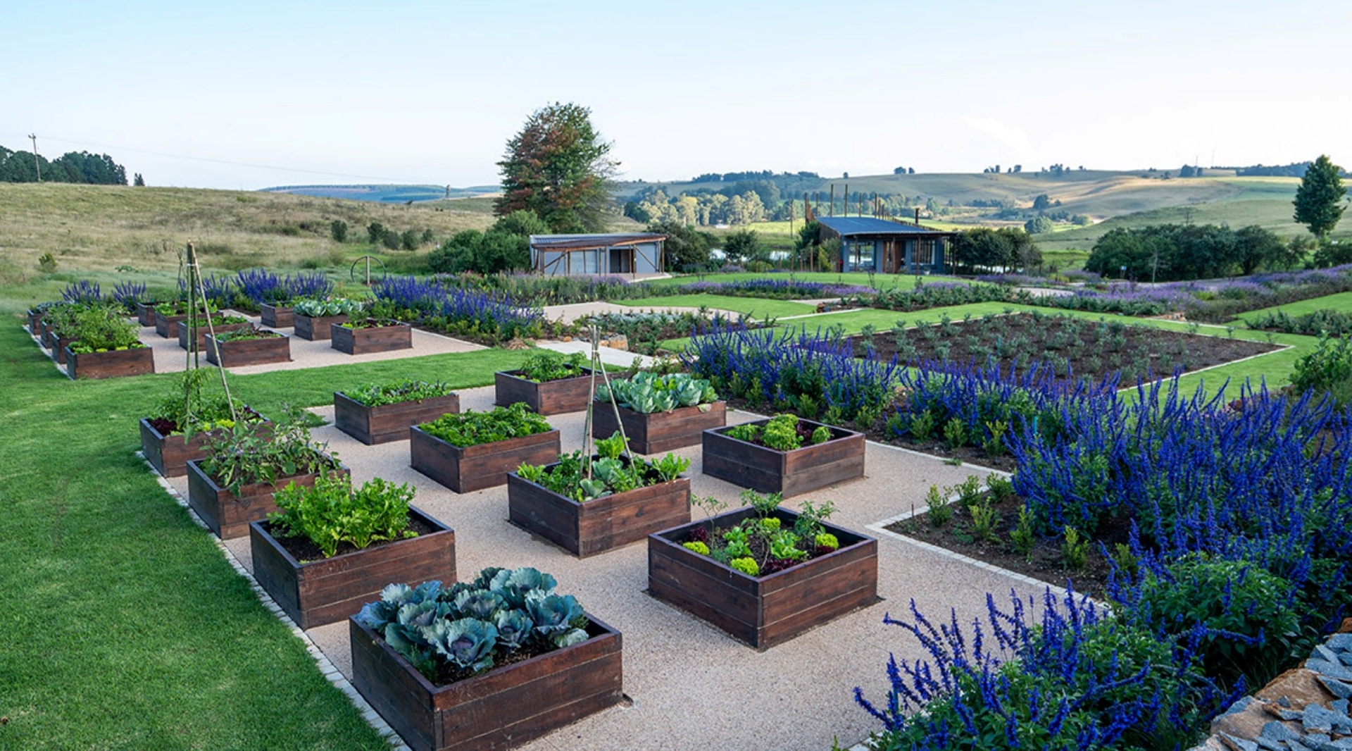 Resort's manicured kitchen garden with wooden raised beds of vegetables, purple flower borders and hilltop pavilion views.