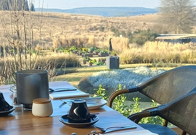 Outdoor terrace table set with cups, saucers and woven chairs, overlooking planted beds, tall grasses and rolling golden countryside hills