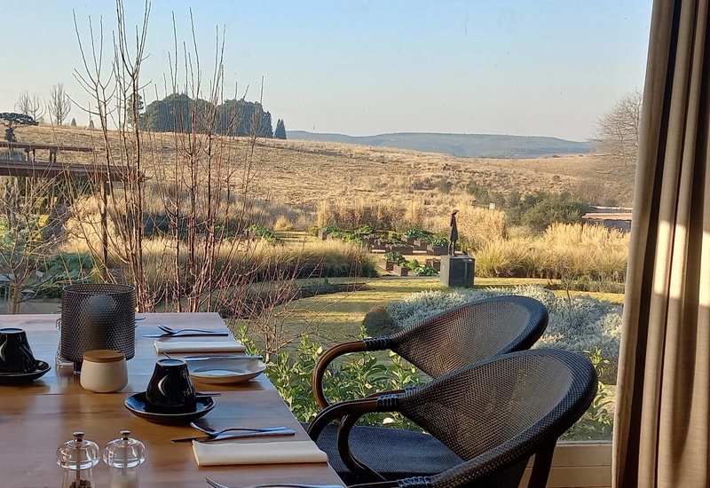 Sunlit breakfast table with cups and cutlery by a window overlooking garden beds and rolling golden hills.