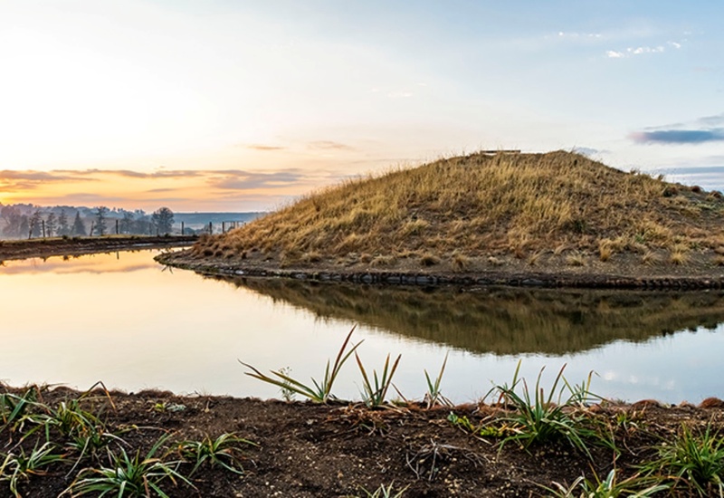 Sunrise over a calm pond reflecting a grassy island and landscaped shore, tranquil lakeside grounds for morning walks.