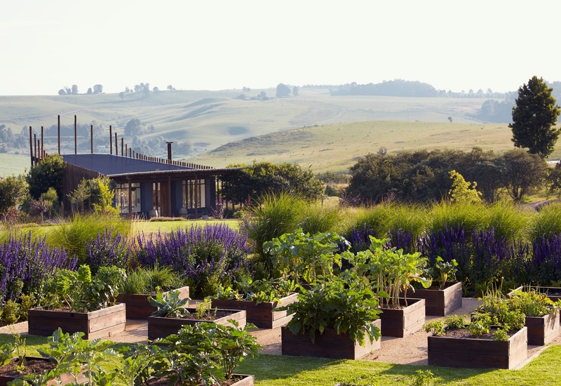 Countryside retreat with modern glass pavilion, raised vegetable beds and purple lavender borders, rolling hill views.