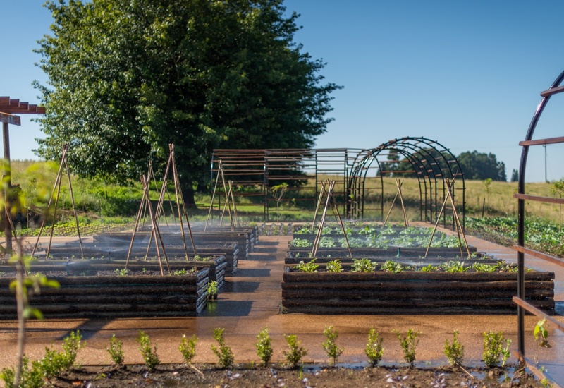 On-site organic kitchen garden with irrigated raised beds, bamboo trellises, metal arches and shaded pergola set against a large tree and rural view