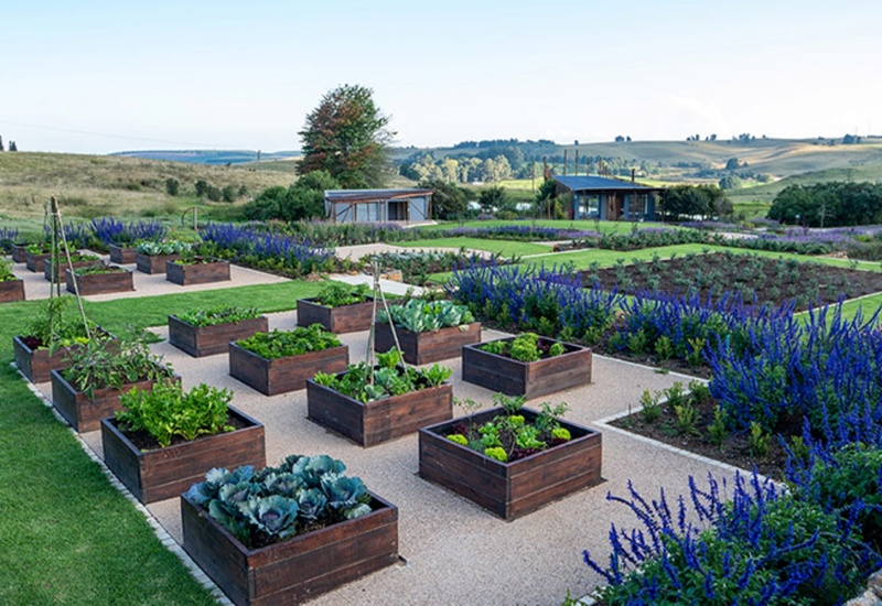 Edible hotel garden with wooden raised beds, purple flowering borders, paved paths and a glass pavilion set against rolling countryside.