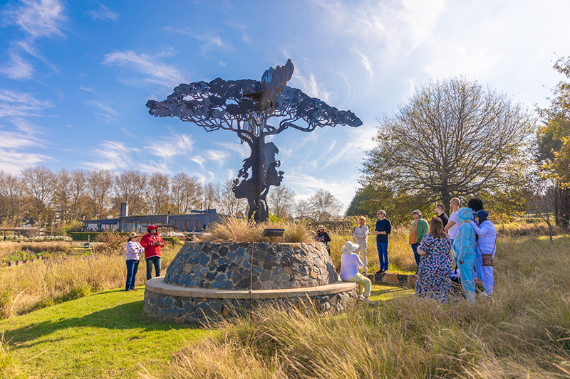 Visitors gathered around a sculptural metal tree on a stone plinth in sunny landscaped gardens with native grasses and blue sky.