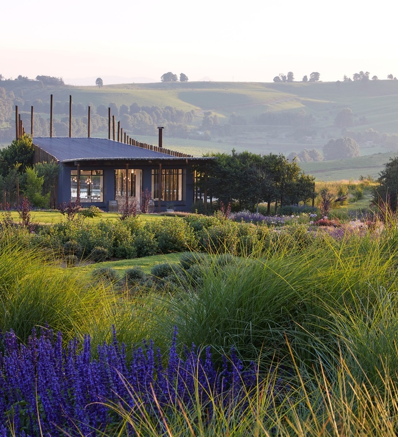 Countryside pavilion with glass dining room, lavender and ornamental grasses among rolling green hills at sunset