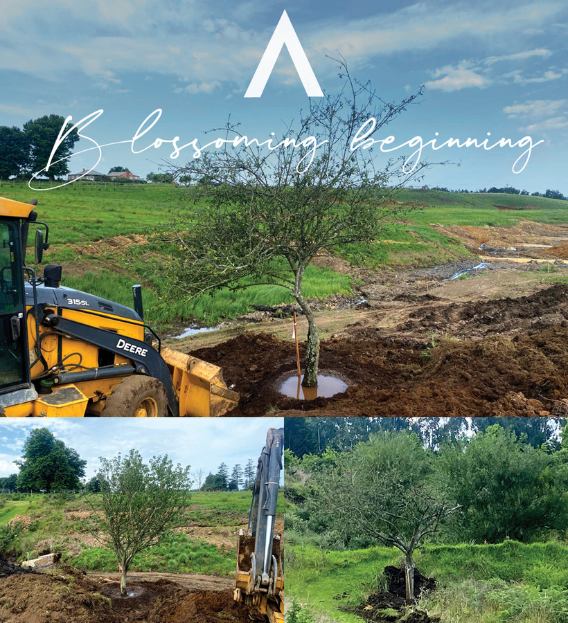 Newly planted trees and excavator on hotel grounds, rolling green fields and Blossoming beginning script in the sky