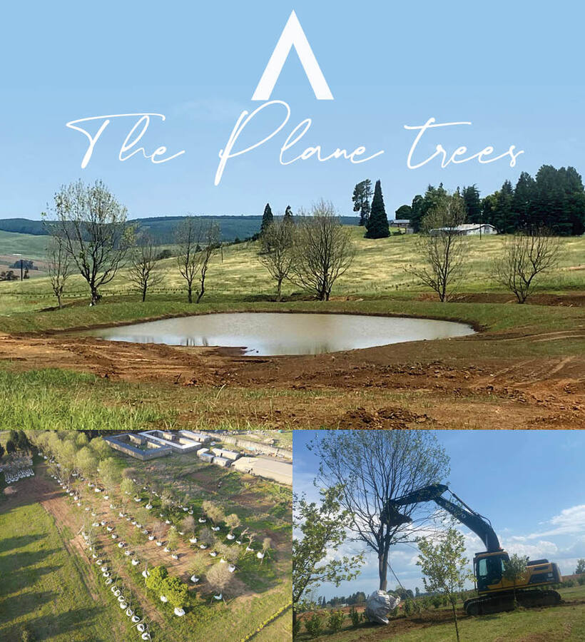 Rural hotel grounds with reflective pond, rolling hills, newly planted plane trees and excavator planting a tree