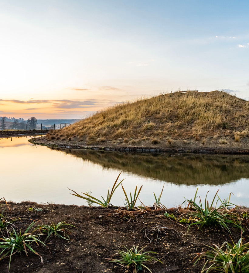 Sunrise over a tranquil pond with a grassy island, reflective water and landscaped shore, peaceful lakeside walking view.