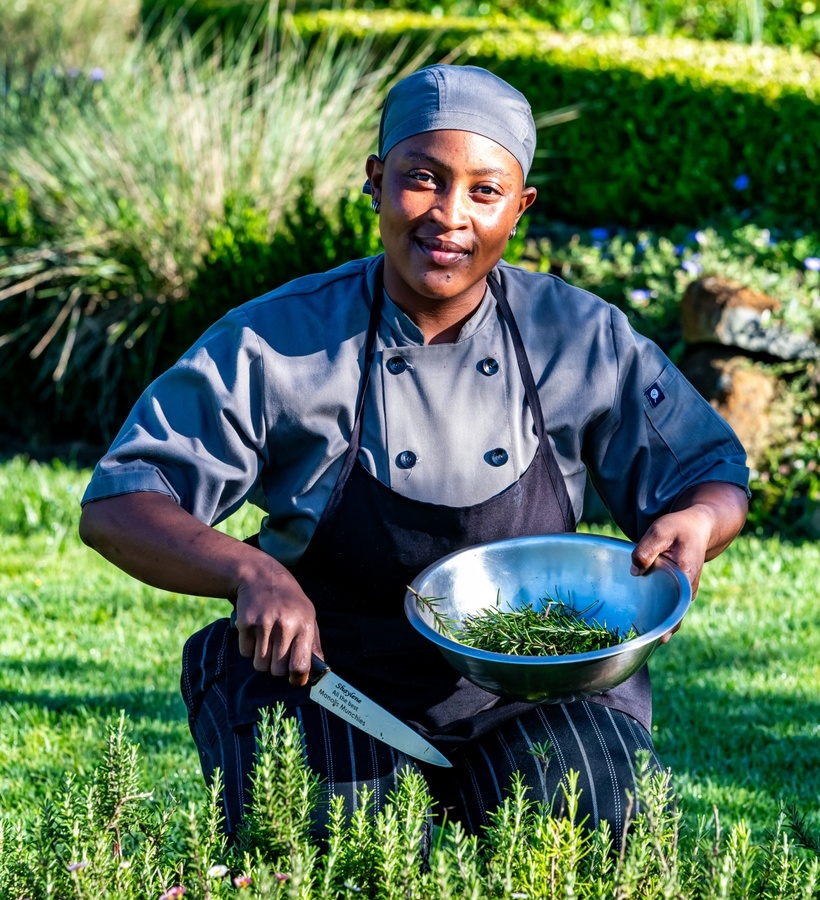 Chef in grey uniform kneeling in sunlit hotel herb garden, harvesting rosemary into a metal bowl with a knife.