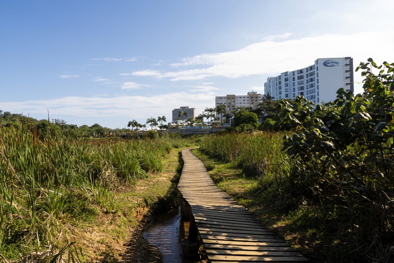 Umhlanga Lagoon Nature Reserve coastal forest trail
