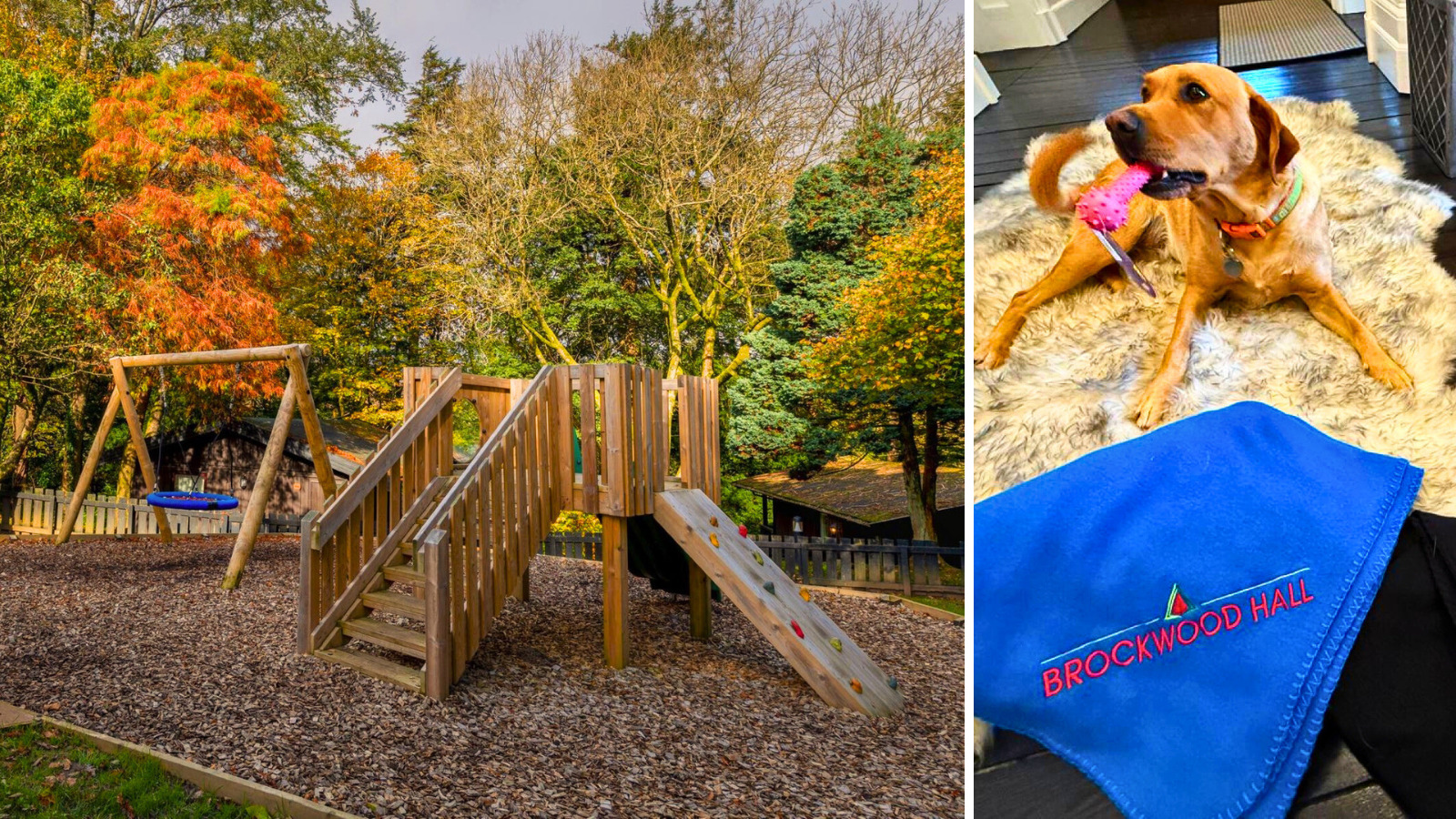 November monthly blog