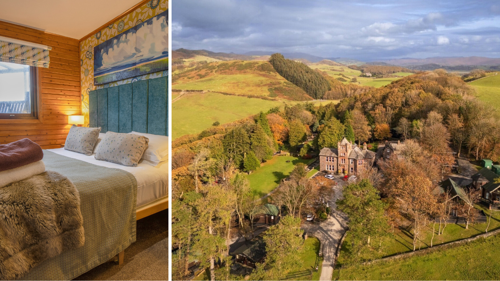 November monthly blog