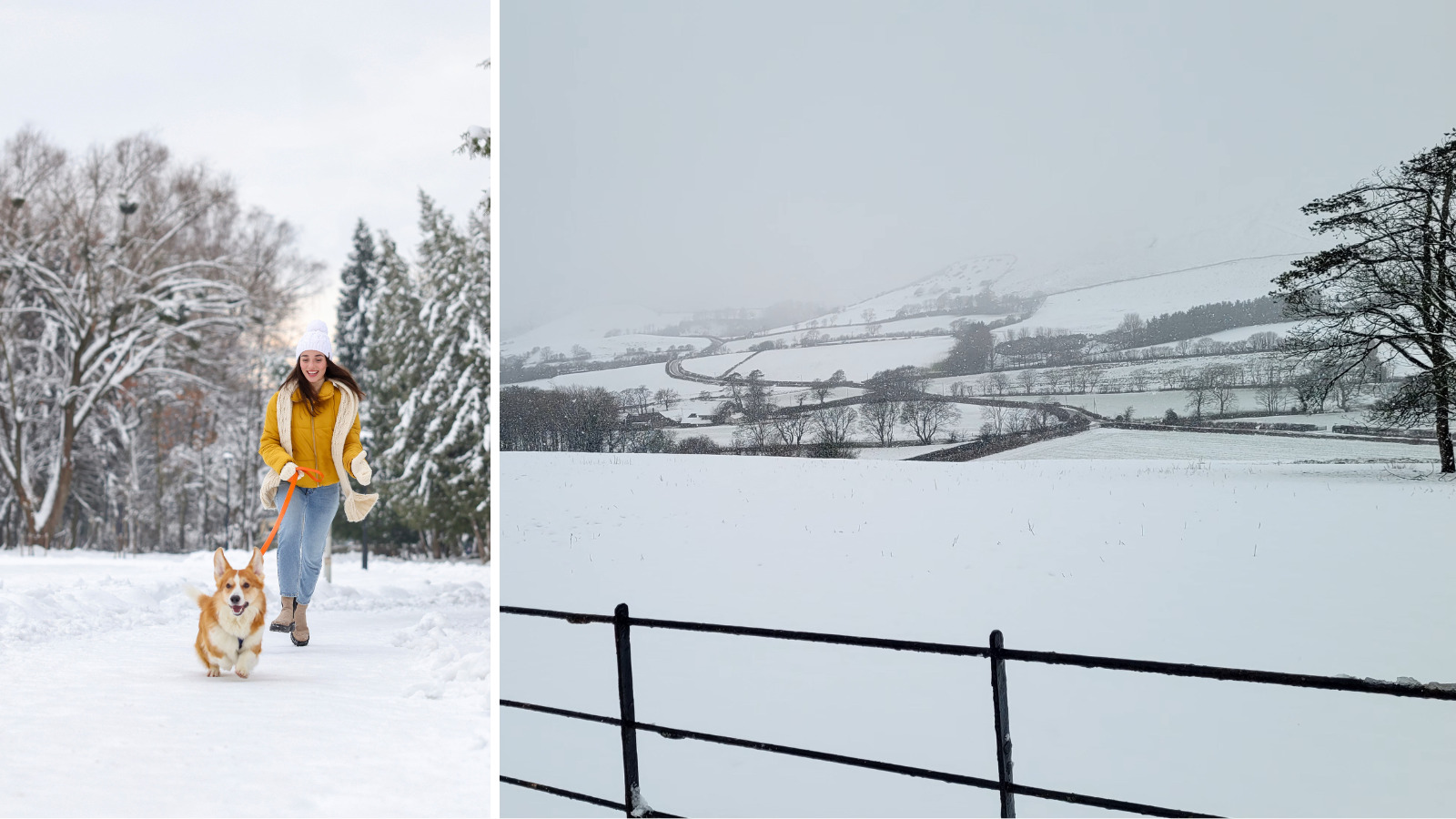 November monthly blog