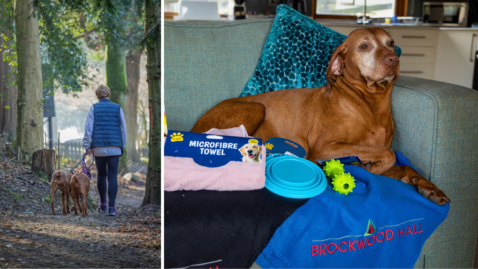 November monthly blog