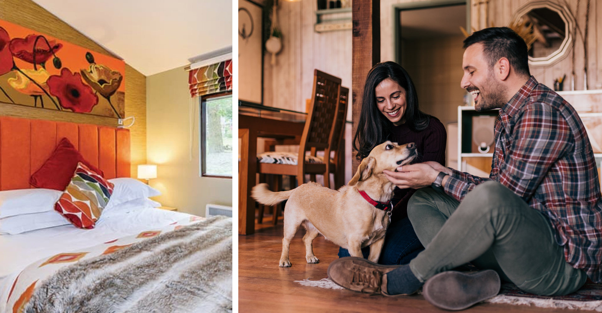  November monthly blog 