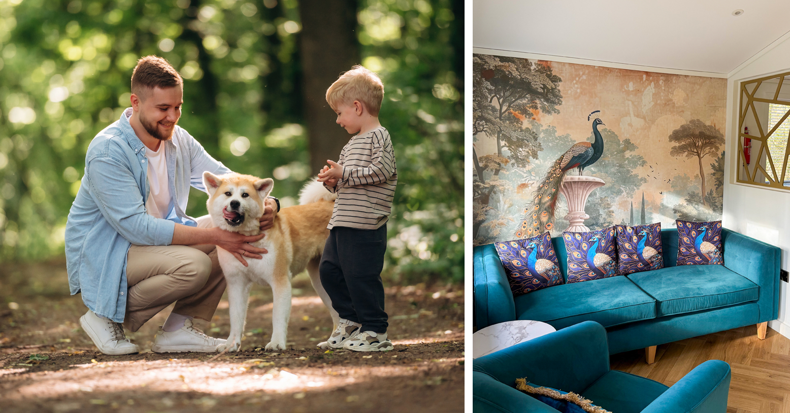  Feb 2026 monthly blog 