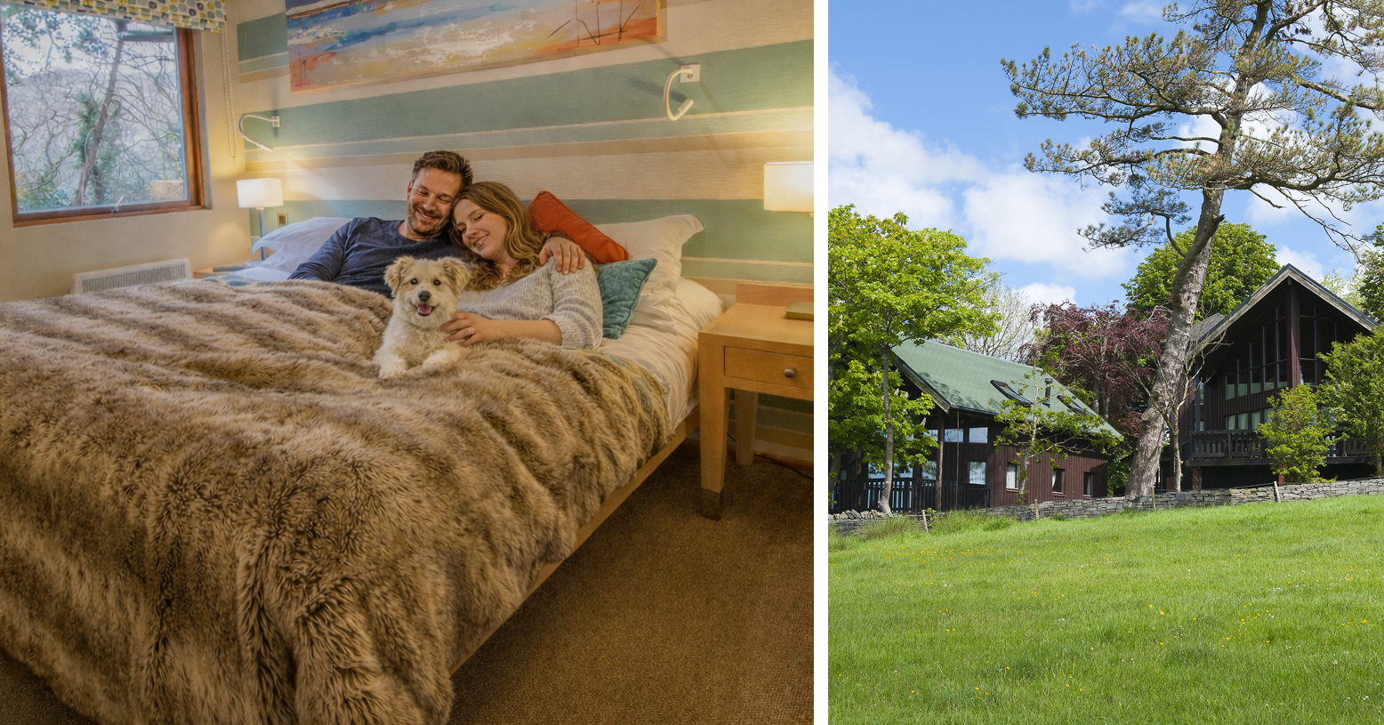  Feb 2026 monthly blog 