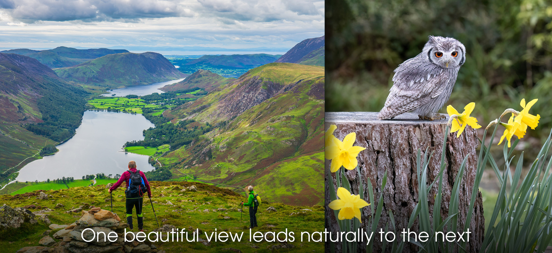 Lake District Escape