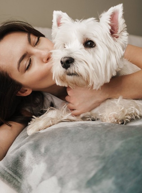 Dog-FRIENDLY ACCOMMODATION