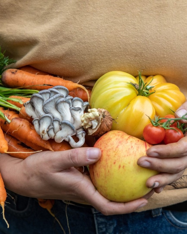 Hands holding fresh organic vegetables and fruits including carrots, cherry tomatoes, yellow heirloom tomato, mushrooms, and an apple