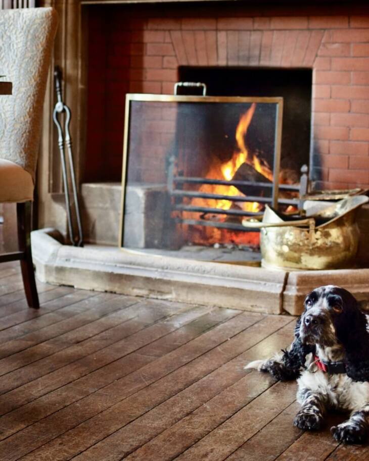 Cozy dining area with cushioned chairs, wooden floors, and a warm brick fireplace where a black and white dog rests nearby