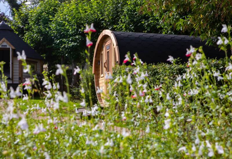 Cozy wooden barrel-shaped cabin and conical hut nestled in green garden with blooming white and pink flowers under large leafy trees
