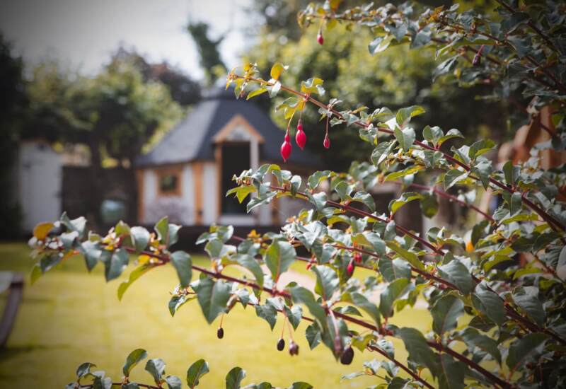 Charming garden with bright green lawn and a small timber-framed building with a dark roof in the background