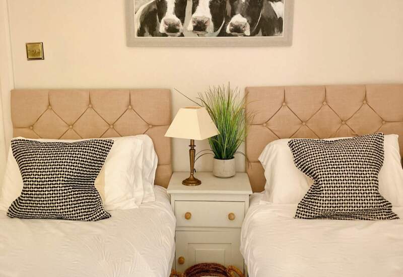 Cozy twin bedroom with beige tufted headboards, patterned pillows, white linens, bedside table with lamp and green plant, cow painting above