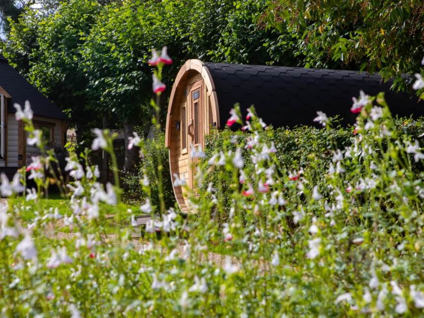 Cozy wooden barrel-shaped cabin and conical hut nestled in green garden with blooming white and pink flowers under large leafy trees