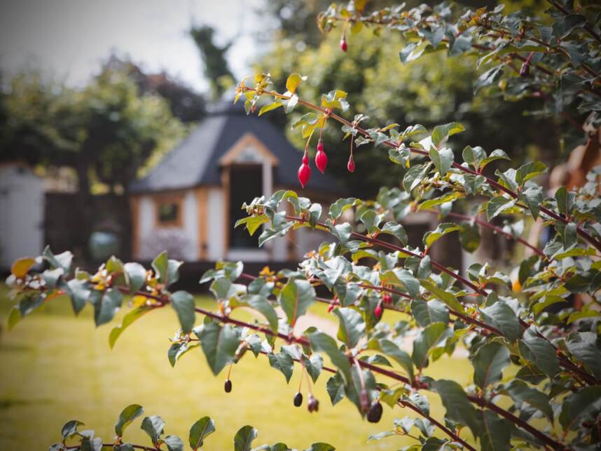 Charming garden with bright green lawn and a small timber-framed building with a dark roof in the background