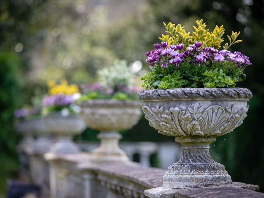 Ornate stone planters with purple and yellow flowers line a garden terrace, creating a serene and elegant outdoor ambiance.