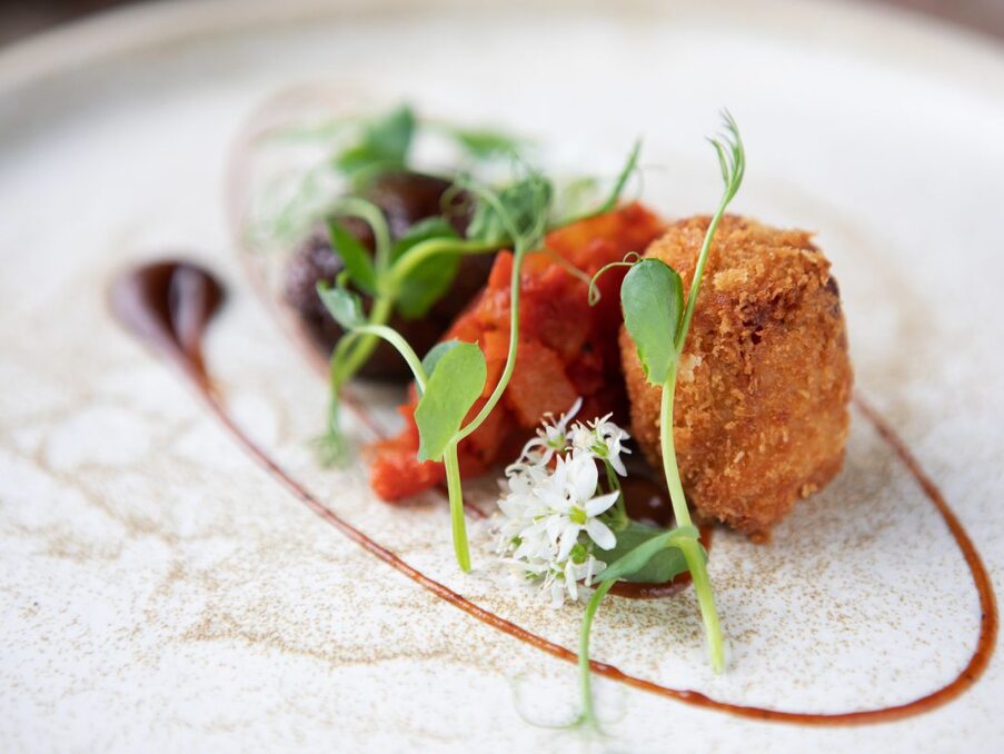 Crispy golden croquette with tomato relish, microgreens, edible white flower and a glossy sauce swipe on a speckled plate