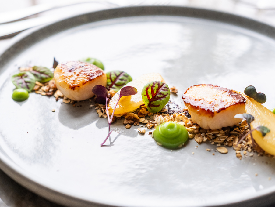 Three seared scallops with pear slices, green pea purée, crunchy granola and microgreens on a minimalist ceramic plate