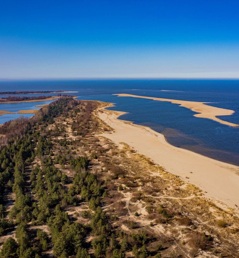 Szeroka piaszczysta plaża z widokiem na spokojne, błękitne morze i nadmorski las, idealna na spacer i relaks