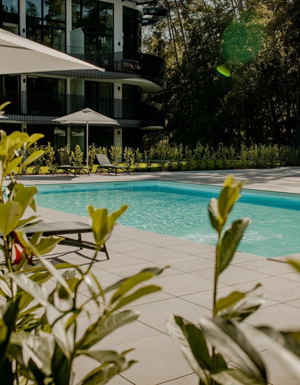 Nowoczesny hotelowy basen na świeżym powietrzu otoczony parasolami i leżakami, z widokiem na zielony ogród i fasadę budynku.