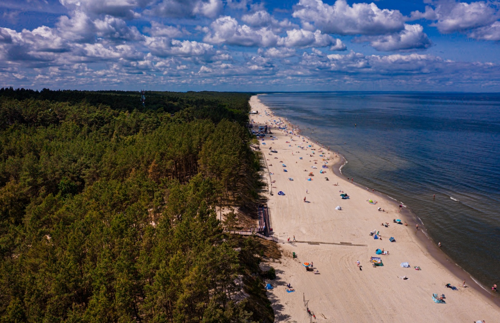Piaszczysta plaża z leśnym brzegiem, rozległym wybrzeżem i relaksującymi plażowiczami nad spokojnym morzem.