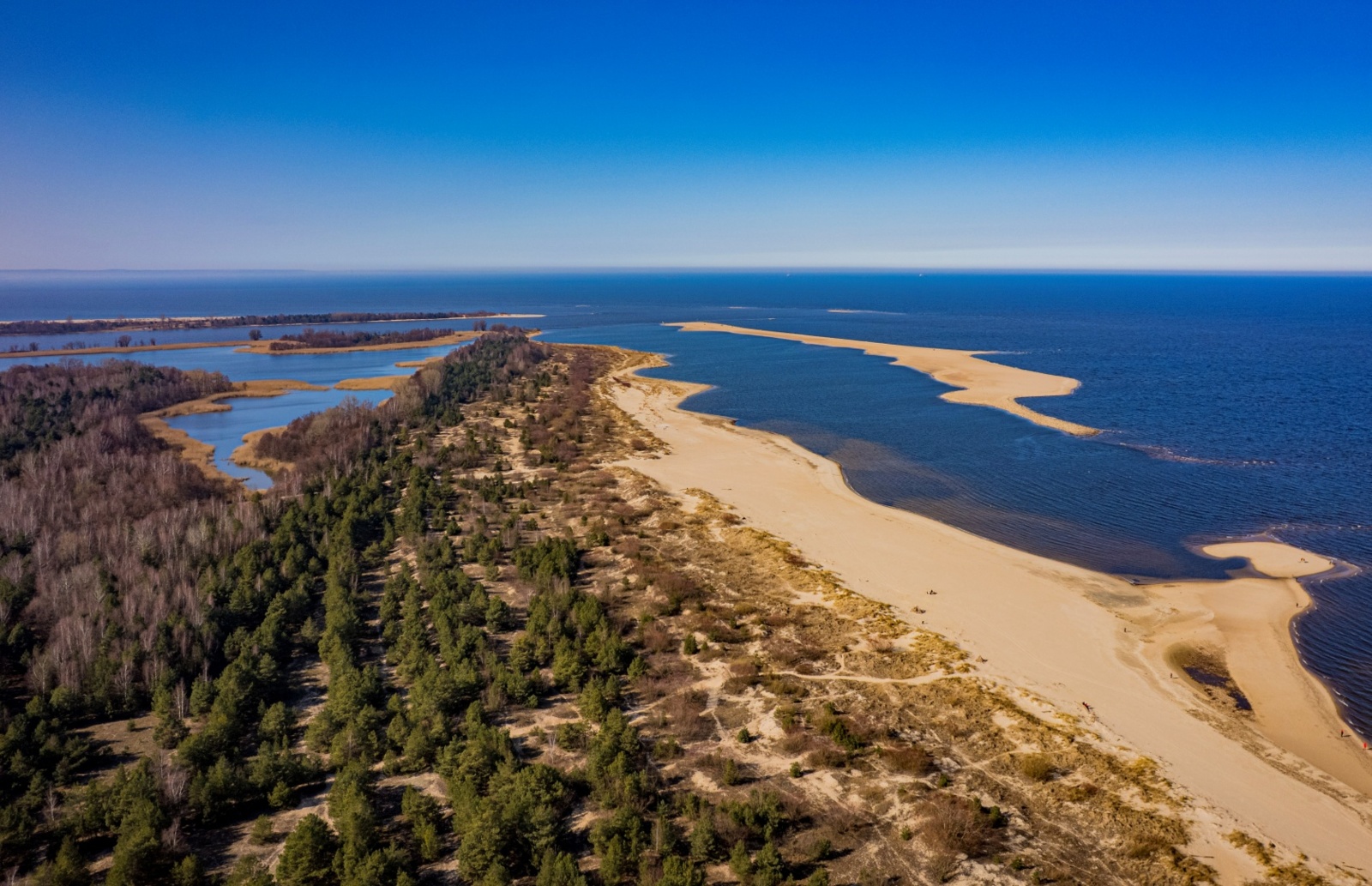 Szeroka piaszczysta plaża z widokiem na spokojne, błękitne morze i nadmorski las, idealna na spacer i relaks