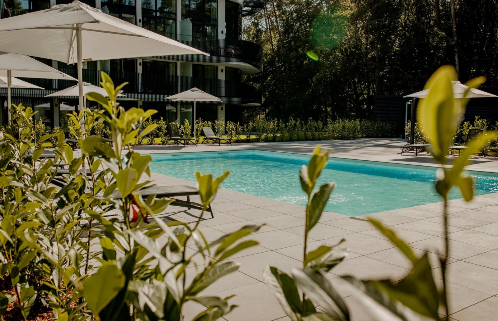 Nowoczesny hotelowy basen na świeżym powietrzu otoczony parasolami i leżakami, z widokiem na zielony ogród i fasadę budynku.