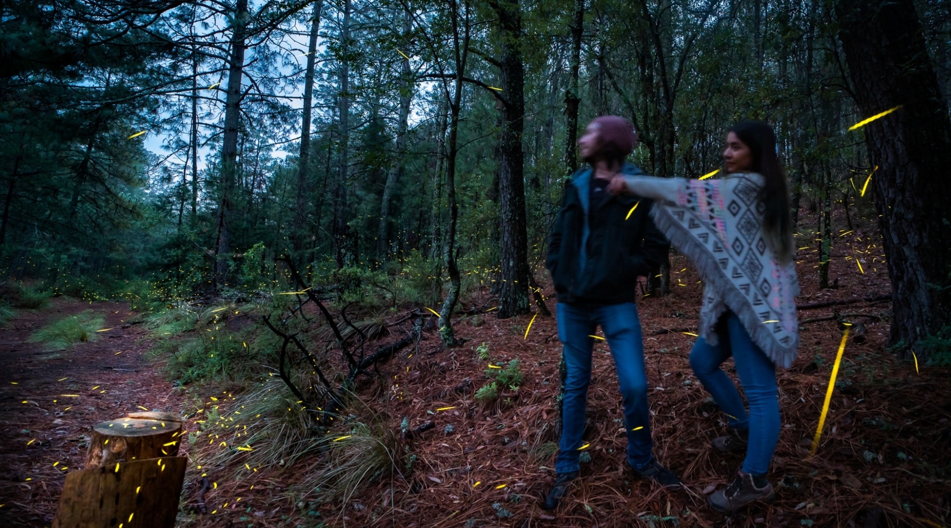 Ecoturismo Tlaxcala Luciernagas