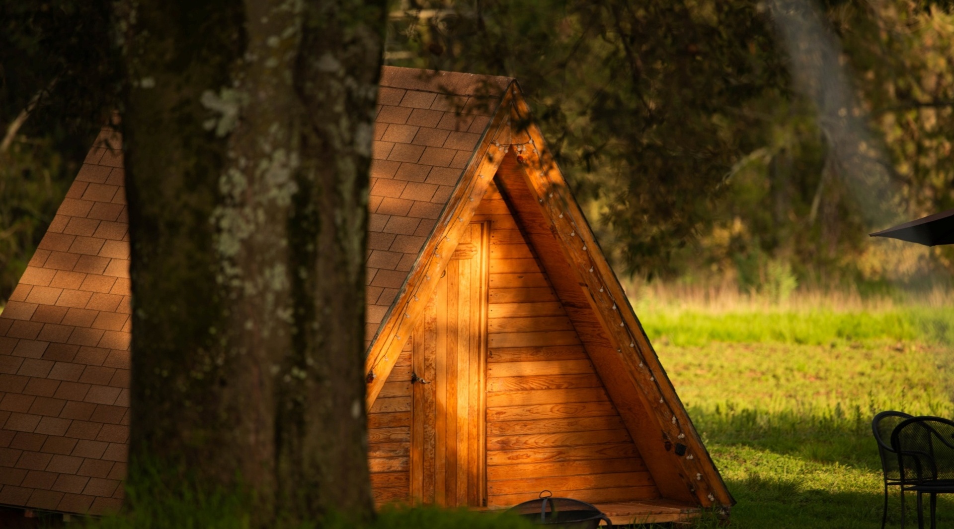 Ecoturismo Tlaxcala Luciernagas