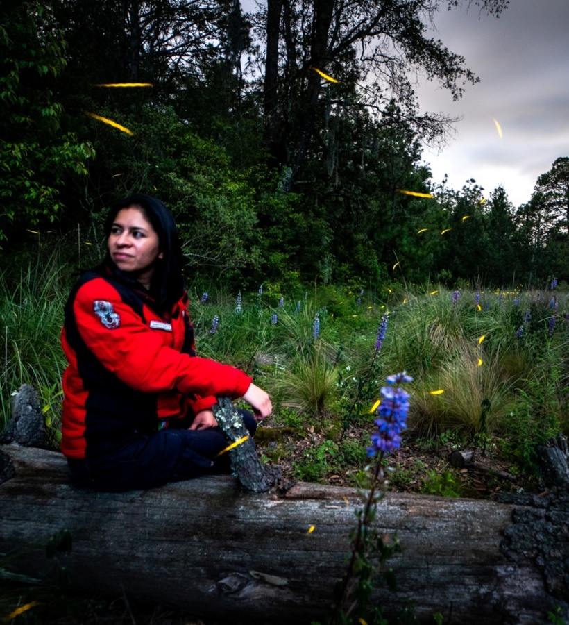 Ecoturismo Tlaxcala Luciernagas