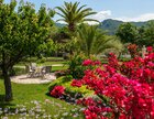 Secluded garden dining area with a table and chairs surrounded by lush greenery, palm trees, colorful flowers, and mountain views