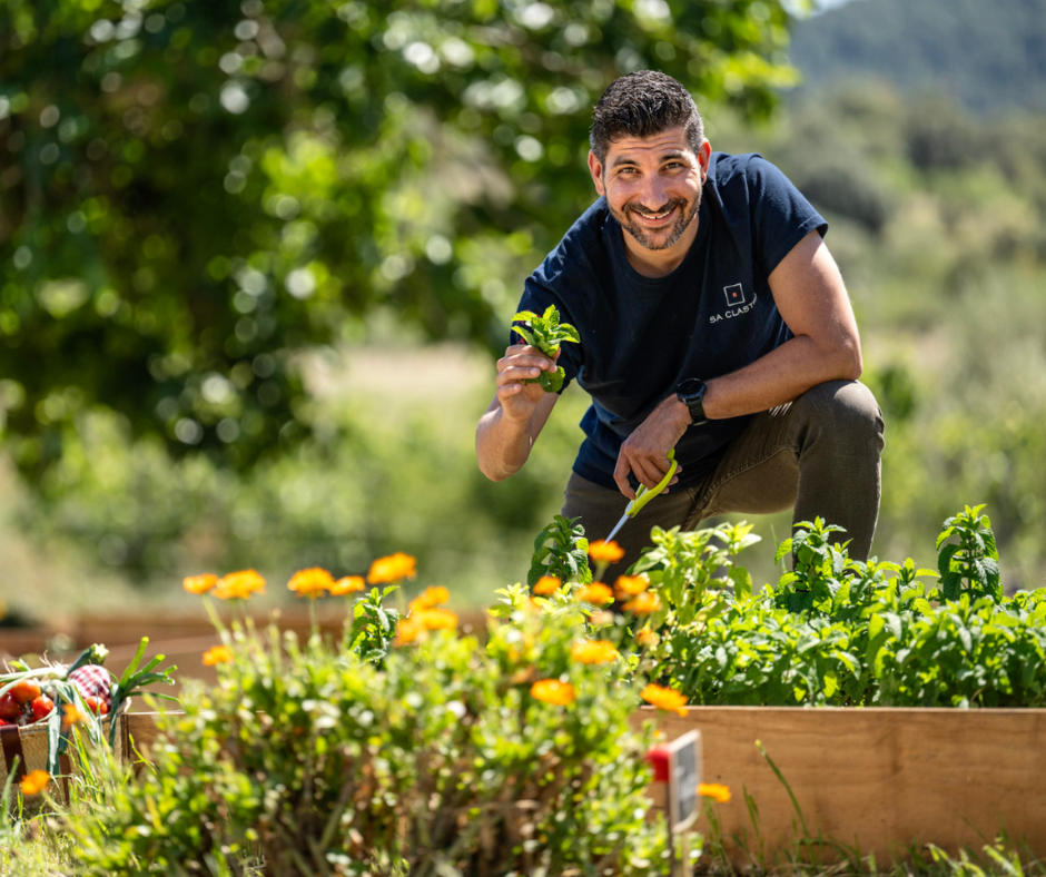 Homme souriant cueillant des herbes fraîches dans un jardin d'aromates en plein air d'un hôtel écologique