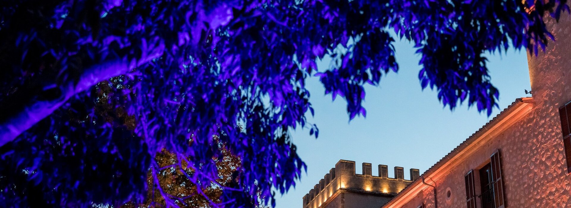 Stone hotel building with glowing tower lights framed by tree branches illuminated in blue and orange at dusk