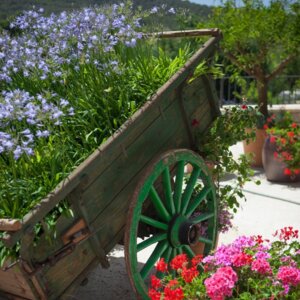 A woodden waggon with flowers and plants in the garden of the luxury hotel mallorca