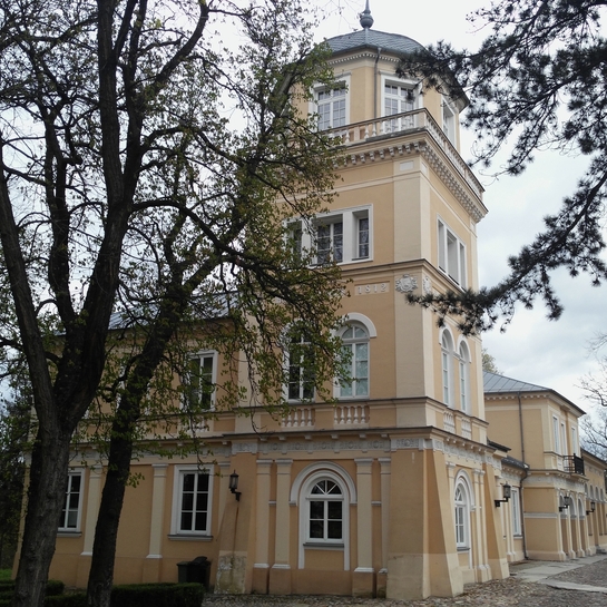 Żółta zabytkowa willa z narożną wieżą, balkonem i łukowymi oknami, w parku z drzewami i brukowanym podjazdem