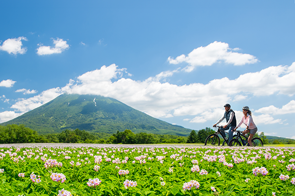 A couple joyfully riding bicycles through a vibrant field of colorful flowers under a clear blue sky