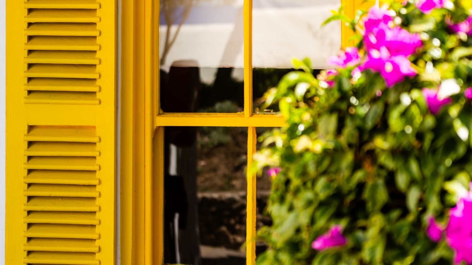Yellow shuttered window set in whitewashed wall, bright bougainvillea cascading by a sunny Mediterranean-style hotel courtyard window.