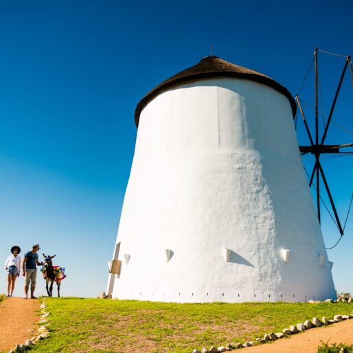 White round windmill with thatched roof beside a sunlit grassy path where a couple strolls with a colorfully saddled donkey.